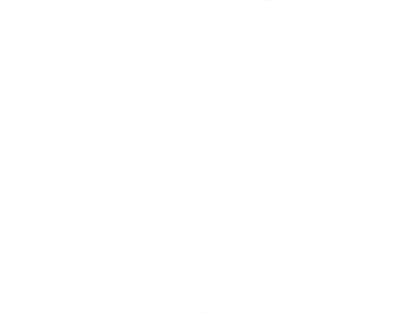 EzeBow